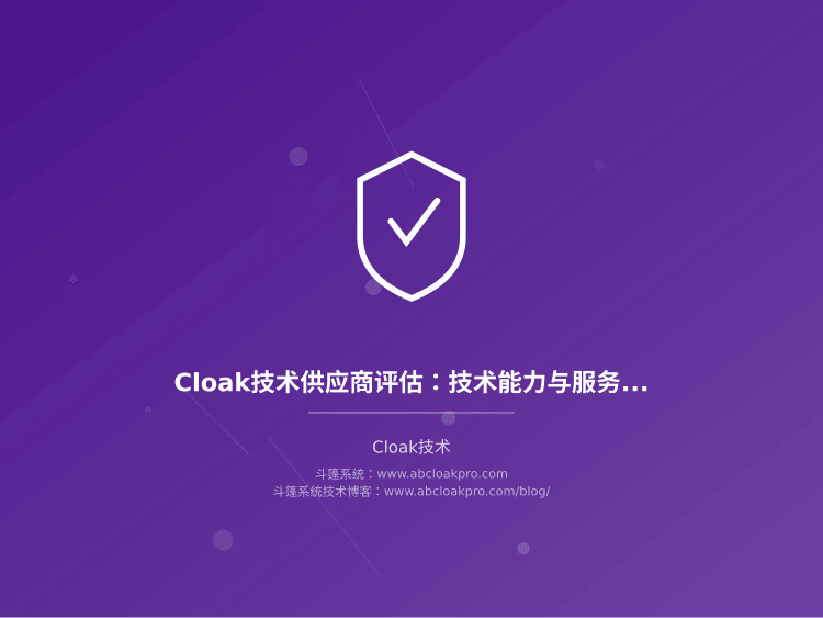 Cloak技术供应商评估：技术能力与服务质量矩阵